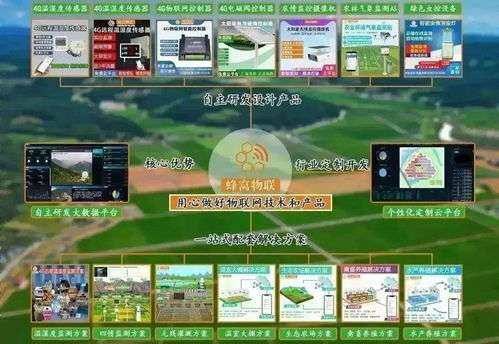 四情監測系統助力三明沙縣智慧茶園科學管控，提產增效