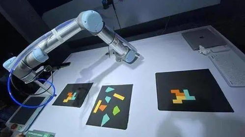 專家支招，黑科技亮相 這場(chǎng)展會(huì)連接武漢未來生活場(chǎng)景